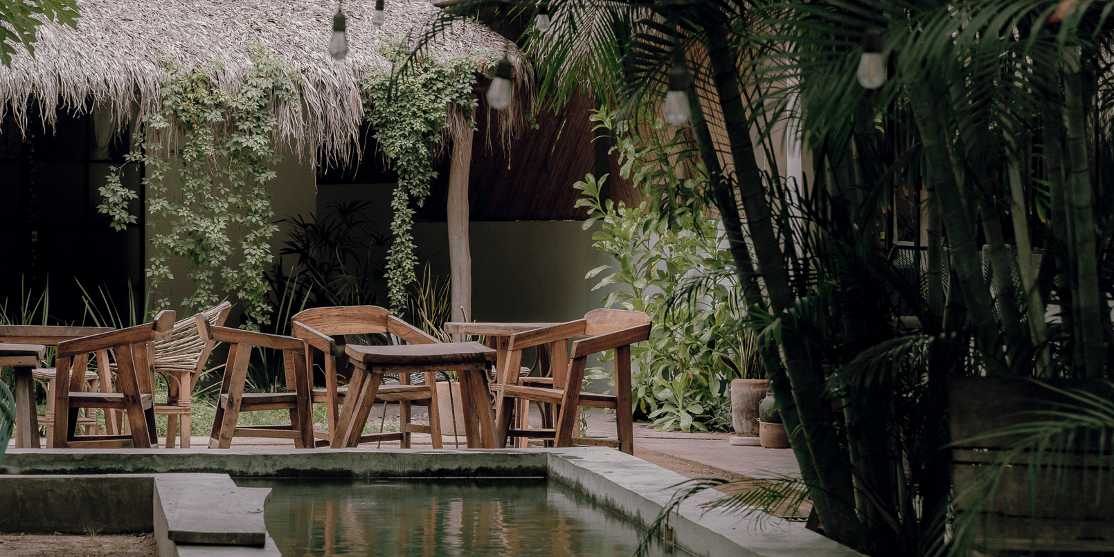 Soirée patio and pool surrounded by tropical greenery in Playa Zipolite, Oaxaca